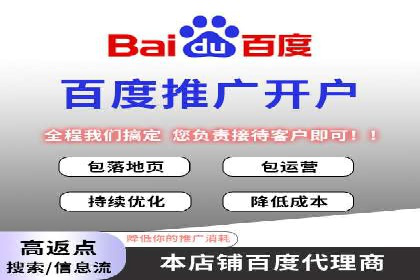 百度竞价推广运营策略：成功案例解析